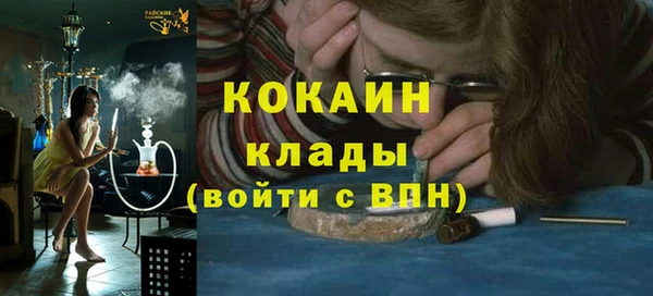 крисы Алексин